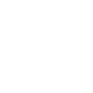 Arrow Icon 2